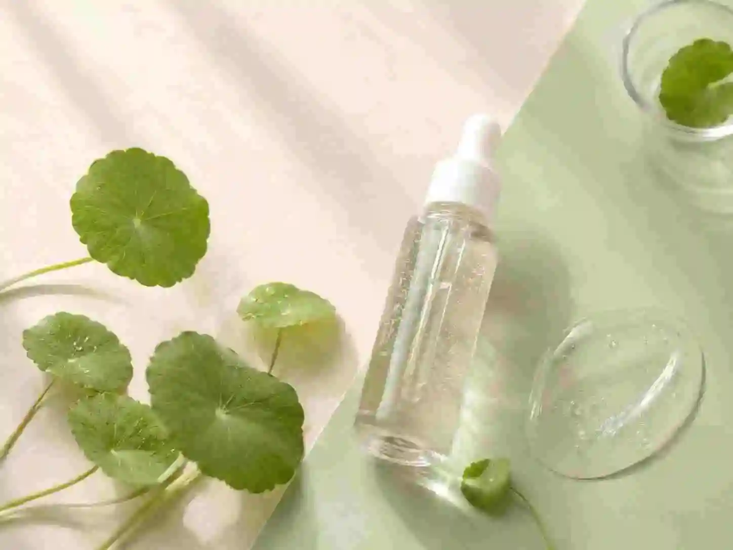 Centella Asiatica skincare ingredient used in calming sensitive skin routines