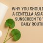 Add a Centella Asiatica Sunscreen to Your Daily Routine