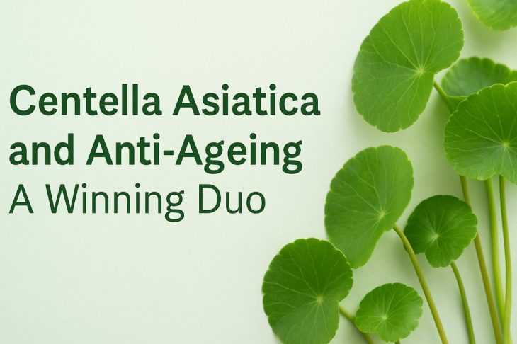 Centella Asiatica and Anti-Ageing: A Winning Duo