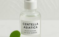 How Centella Asiatica Helps Restore the Skin Barrier
