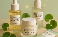 Discover Centella Asiatica Products: Elevate Your Skincare Routine Today
