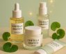 Discover Centella Asiatica Products: Elevate Your Skincare Routine Today